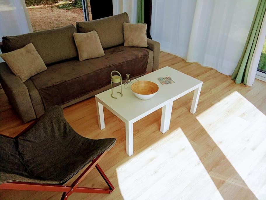 Apartment Loft Avec Jardin Pres Du Centre Amboise